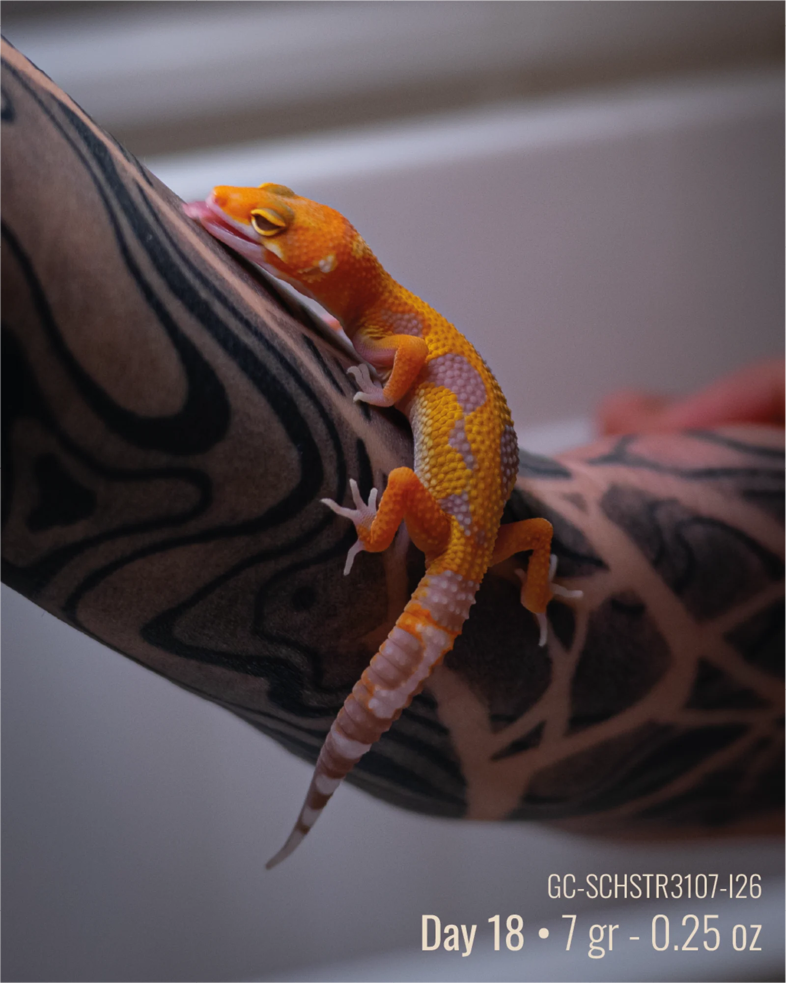 Foto di Ilario
