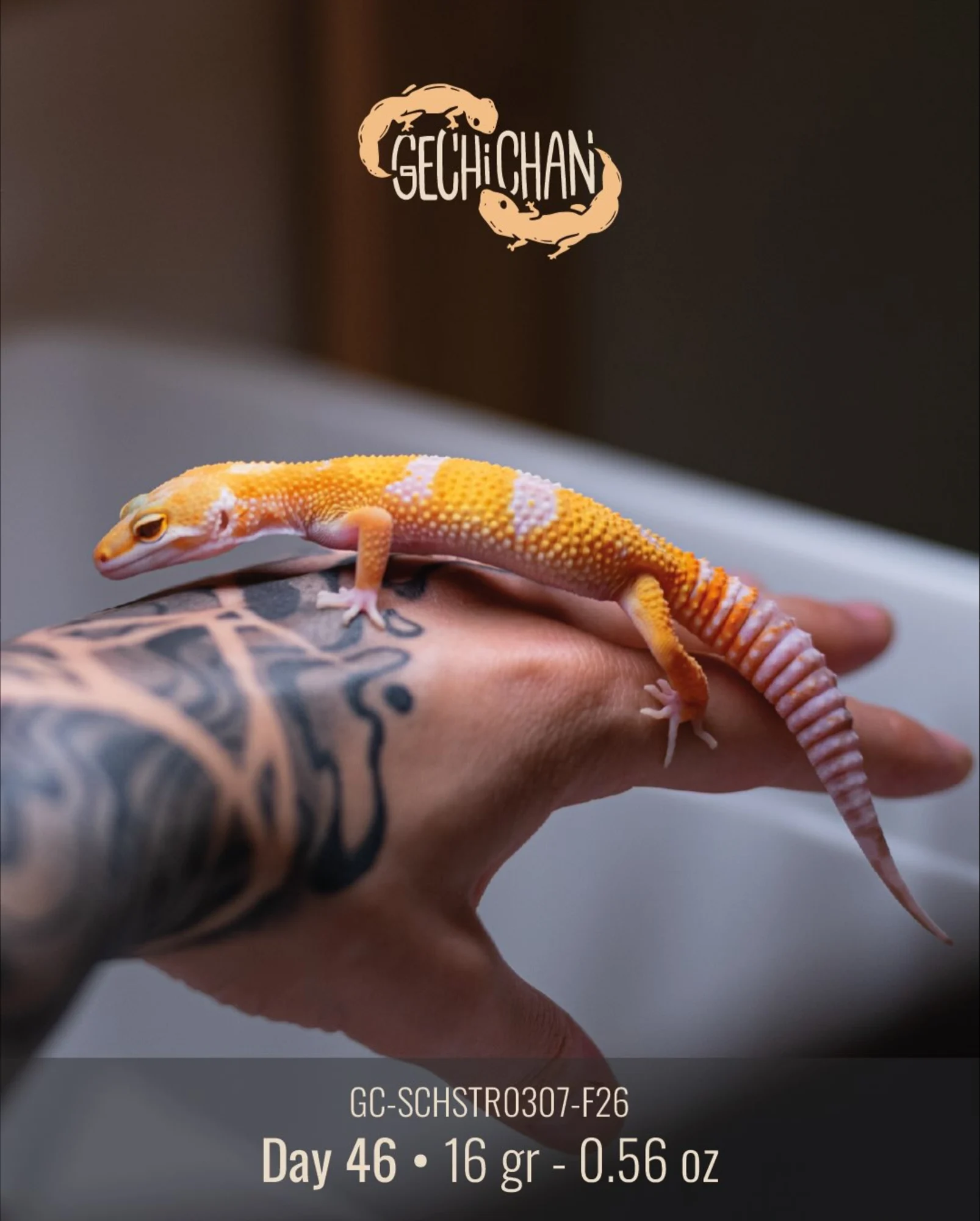 Foto di Fernando